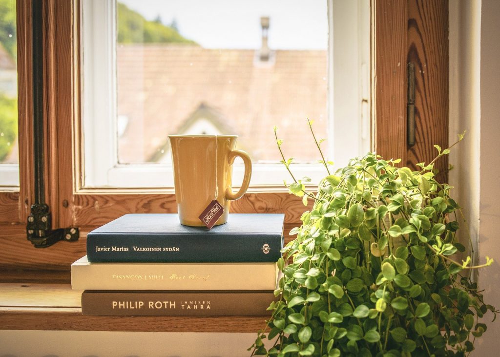 Rebord de fenêtre sur lequel se trouvent des livres, une tasse et une plante