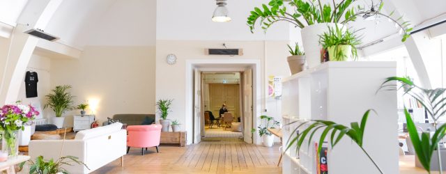 studio avec plancher en bois