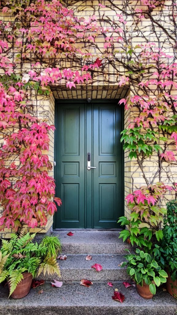 porte-dentree-lierre-bleu-vert